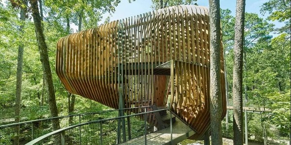 將孩子帶回樹林 | Evans樹屋