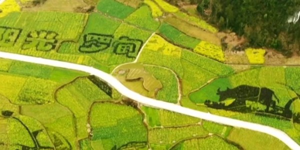 土地的涅槃｜全域土地綜合整治為何爆火？設(shè)計(jì)院如何搶占風(fēng)口？