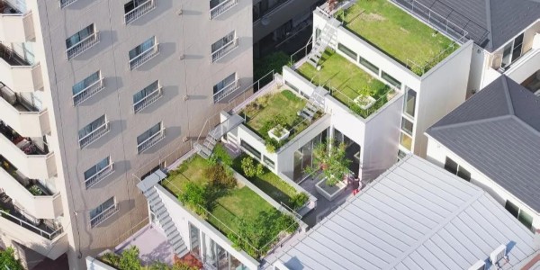 創(chuàng)造‘綠色’，東京層疊花園宅 / MAMM DESIGN