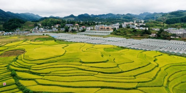 六部門聯(lián)合印發(fā)《中央財政銜接推進(jìn)鄉(xiāng)村振興補(bǔ)助資金管理辦法》