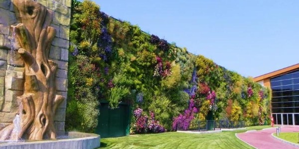 驚艷極了，還能這樣做綠化？